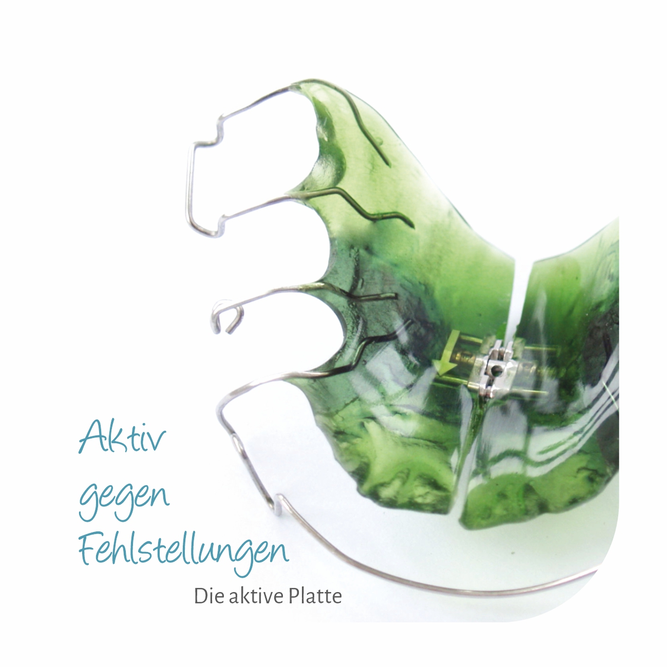 10 Aktiv gegen Fehlstellungen